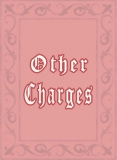 Other Charges