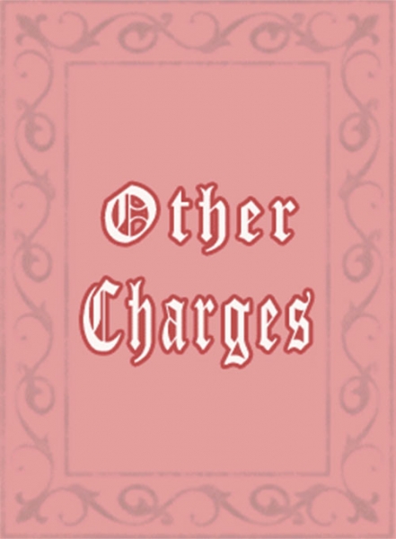 Other Charges