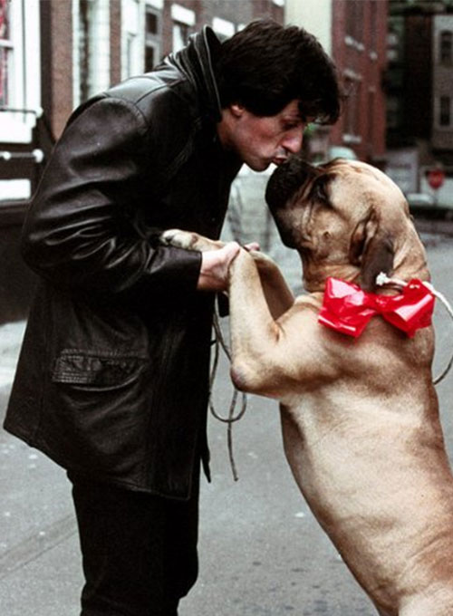 Sylvester Stallone Rocky 2 Leather Trench Coat